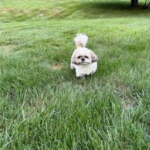 Meet your Posher, Nance